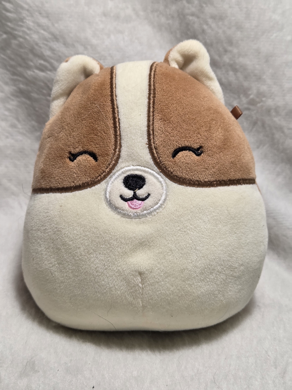 REGINA the Corgi Squishmallows 5.5" Stuffed Dog Toy Brown and White NO HANGTAG